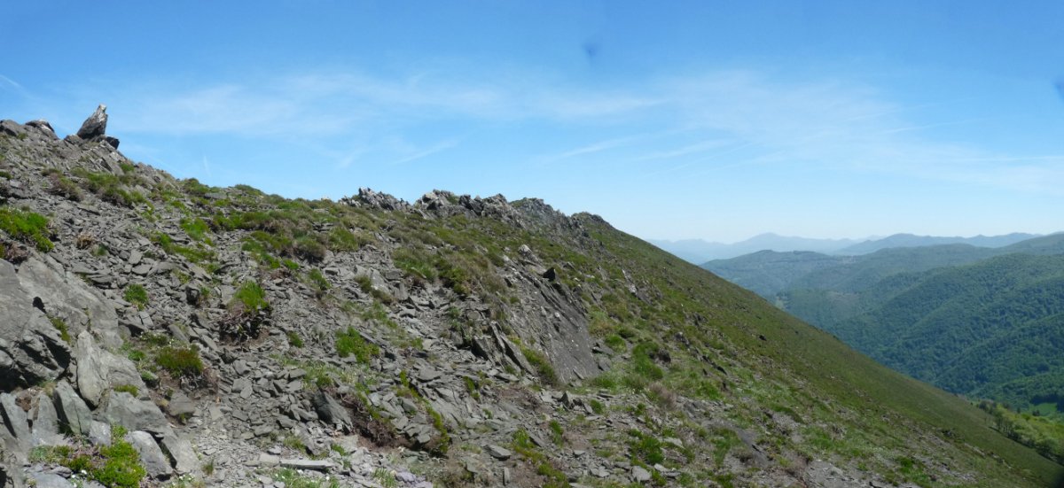 Monaxketako gainaldea