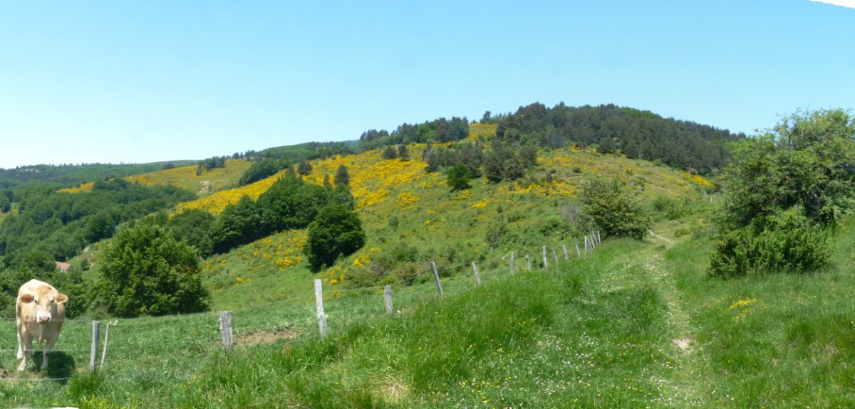 Gaztanbideako hegiak Gartxot bidetik
