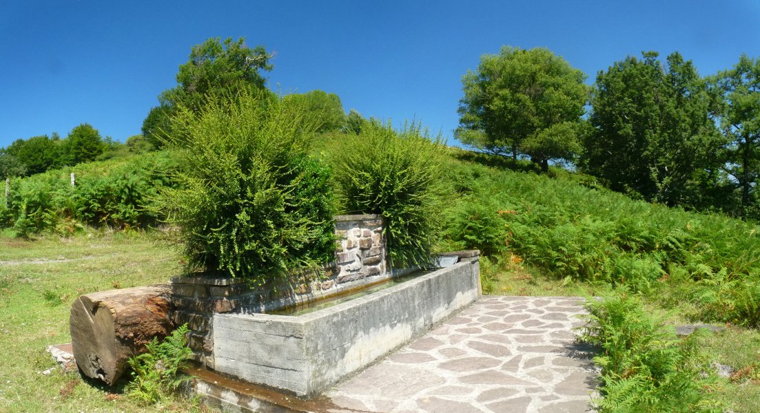 Bidartxoko lepoko iturria