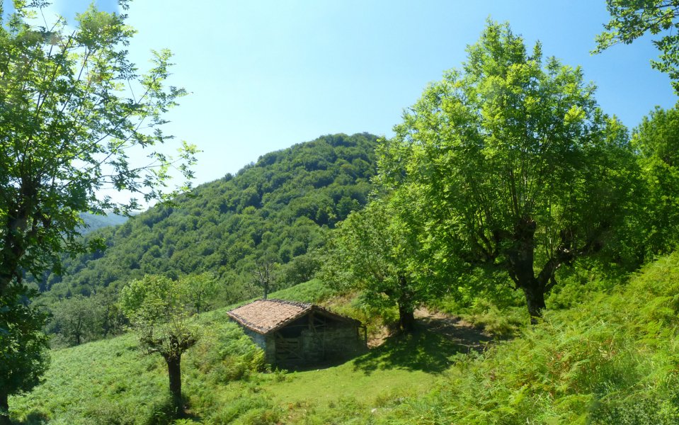 Borda Goikorro mendian 