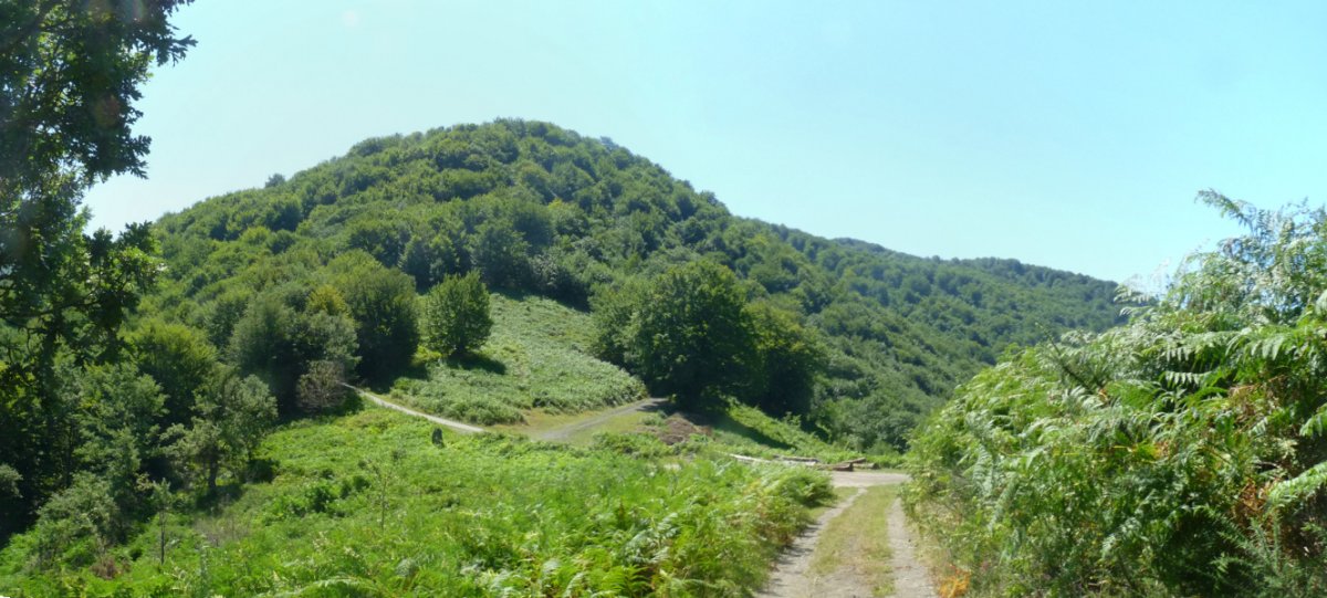 Argibelgo maldak Bidartxoko lepoaren gainean