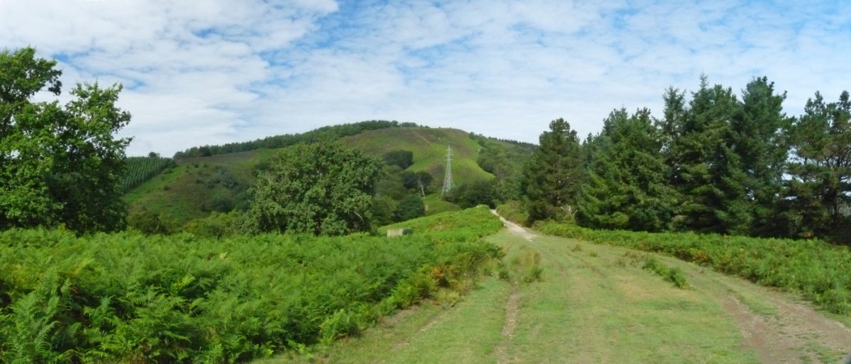 Illasmendi Zalaingo lepotik