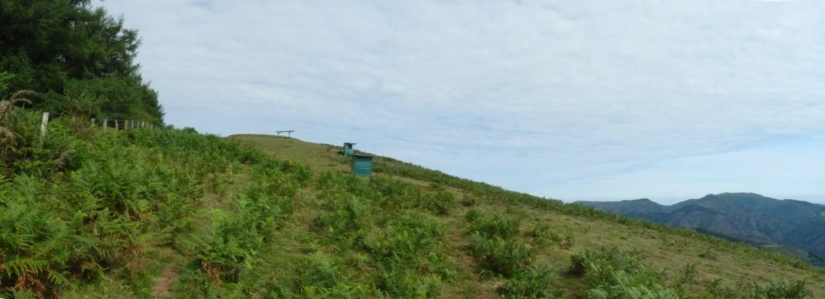 Illasmendiko gainaldea