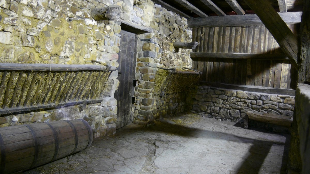 Ardientzako mazka jartzeko sarea eta aska