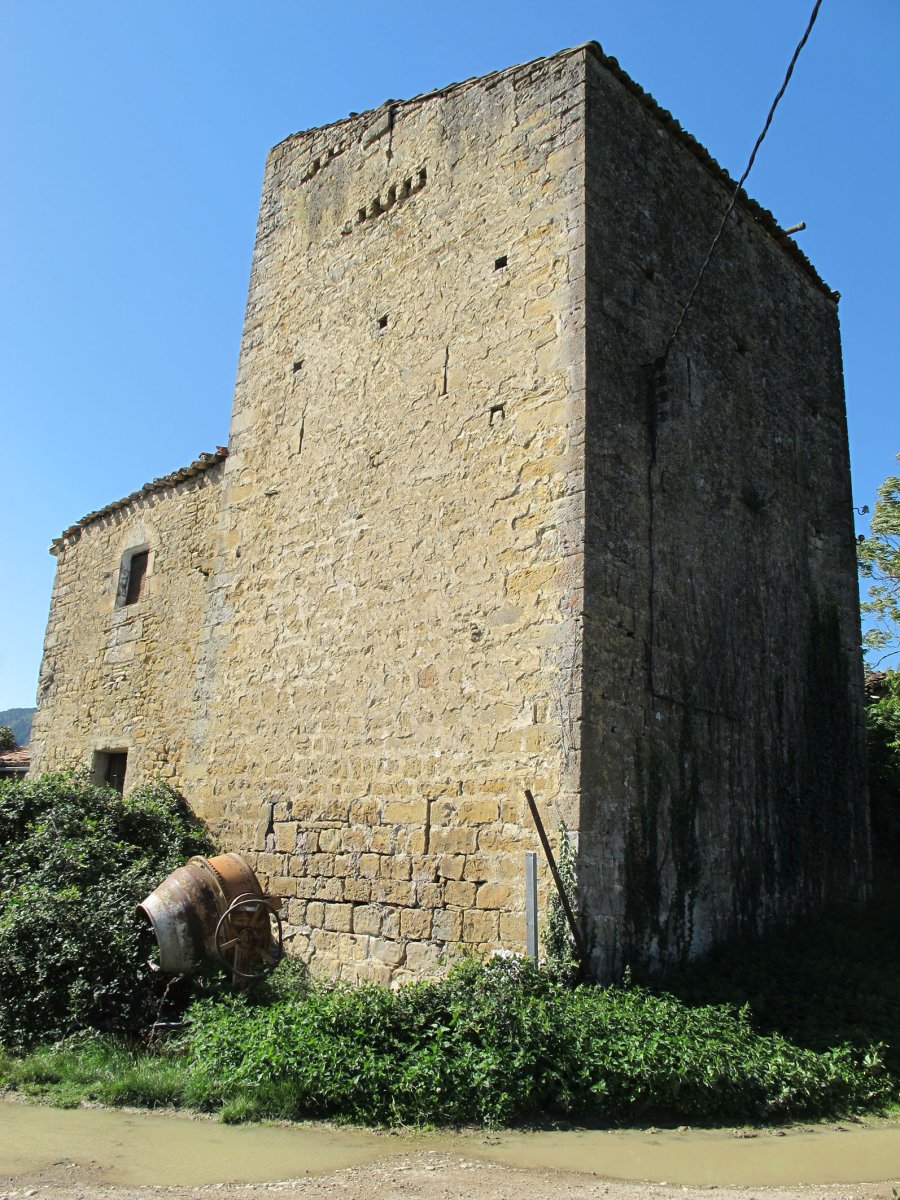 Zuasti jaregia, Zuasti-Longida