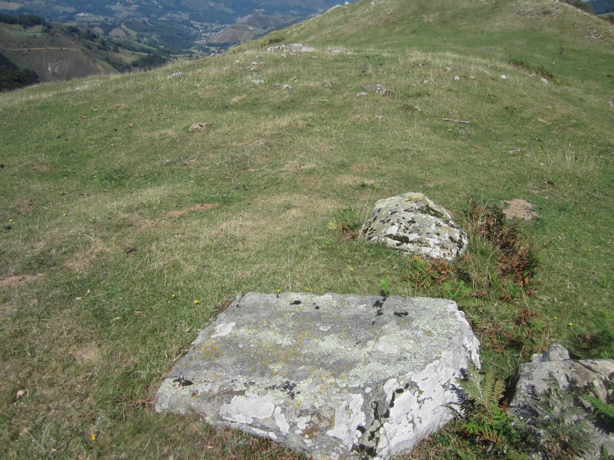 Dólmen Elorrixaalea (Agosto 2015)