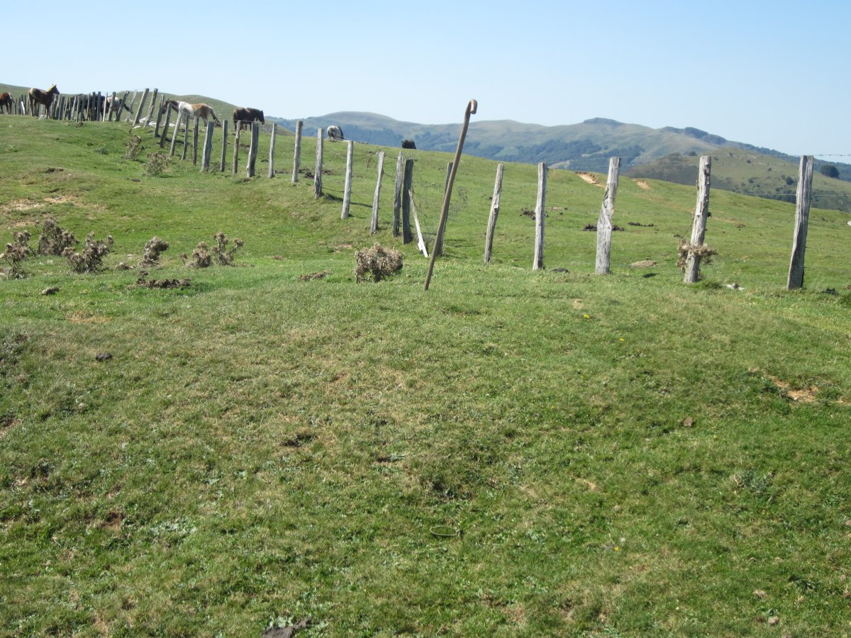 Túmulo Aztakarri 1 (Agosto 2015)