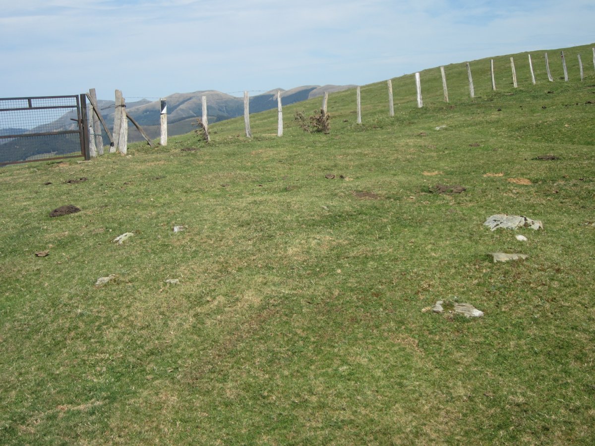 Cromlech Pilotasoro  (Agosto  2015)
