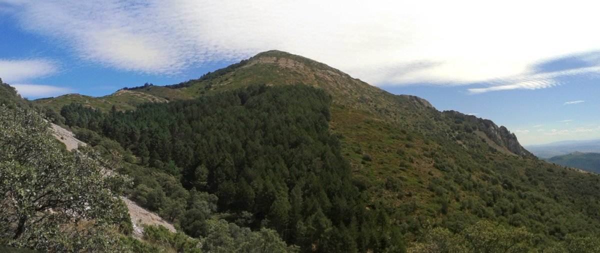 Grudo mendebaldeko bizkarretik