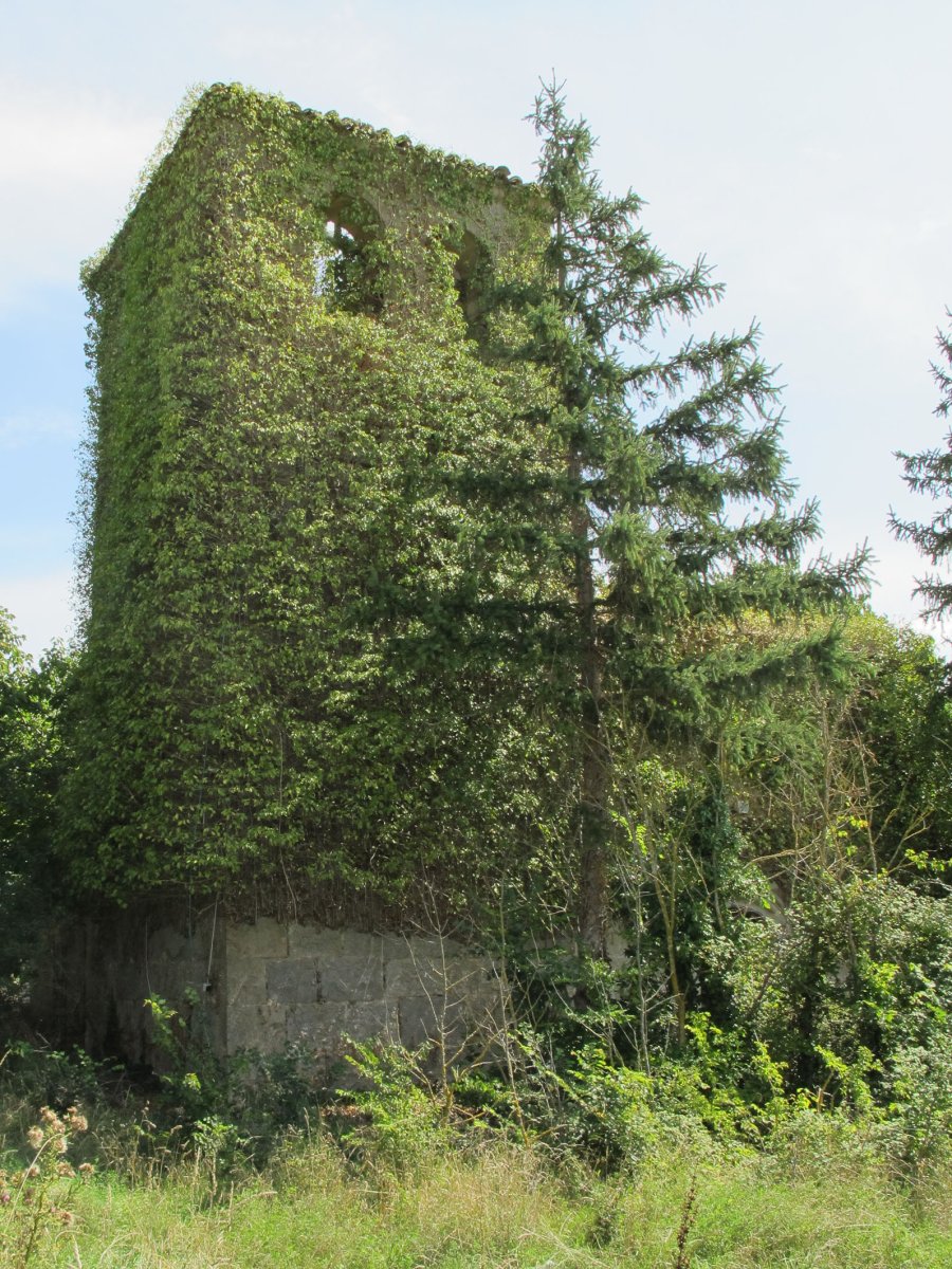 San Andres eliza, Villanueva-Longida