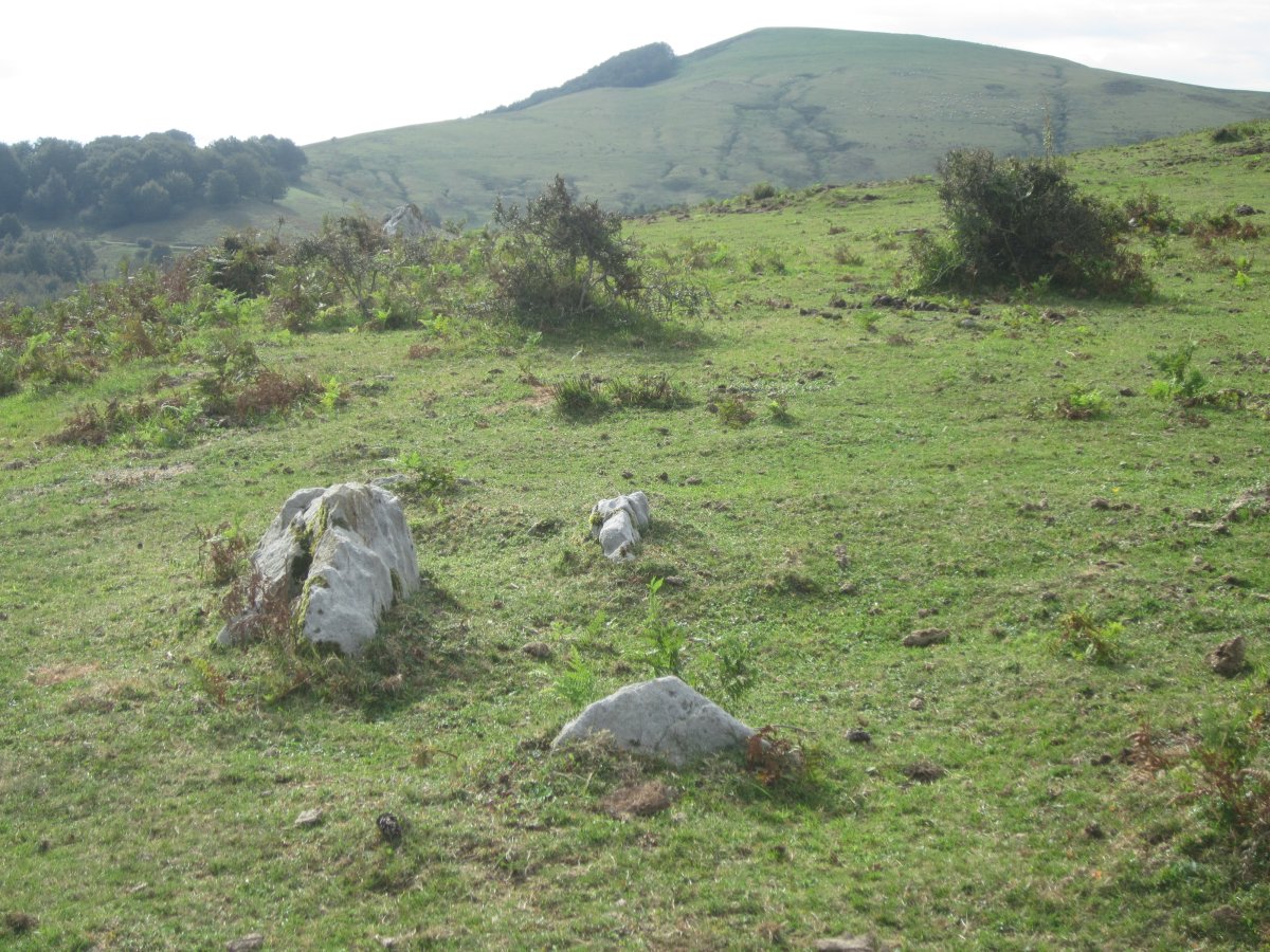 Cista Abilleta  (Septiembre  2015)