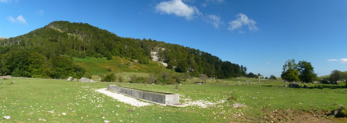 Aska Azpegiko lepoan