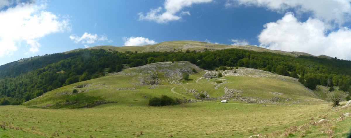 Urkulugibelgo basoa Leizanditik. Behealdean, mendiari izena ematen dio harpea