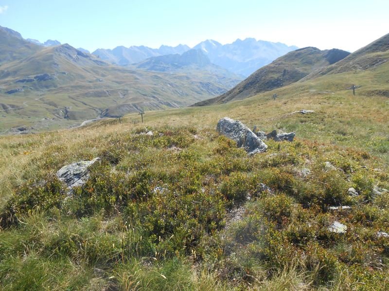 corona de los faballones