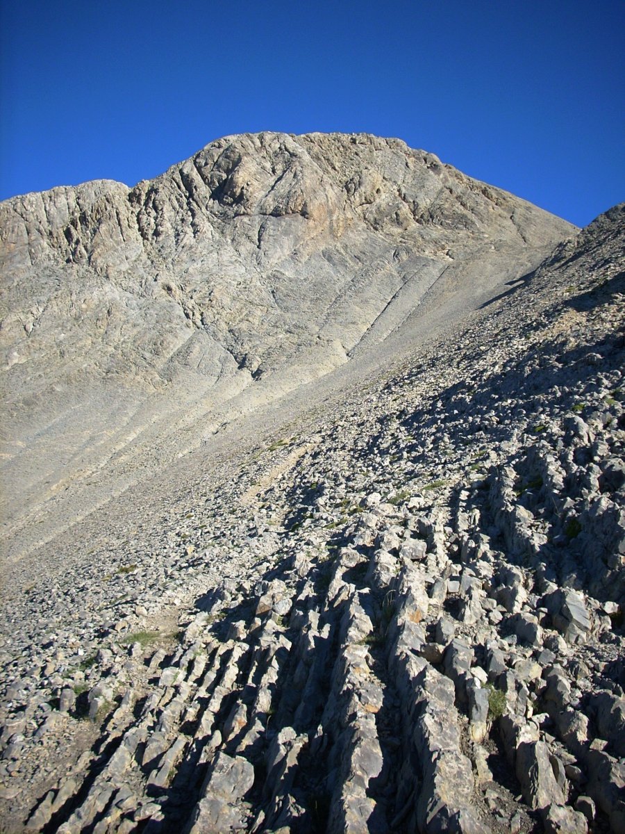 tontorra, Collado de Cotiella-tik