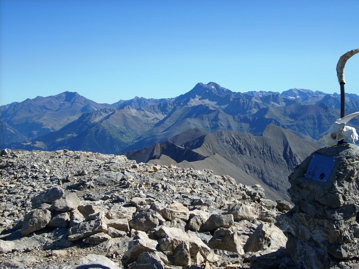 tontorretik: Bachimala, Posets eta Perdiguero