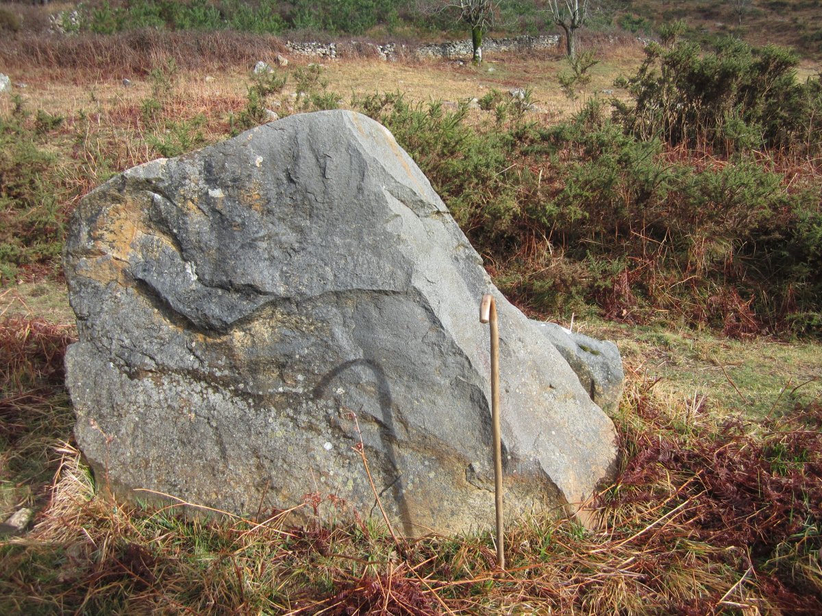 Menhir Belarregi (Febrero 2016)