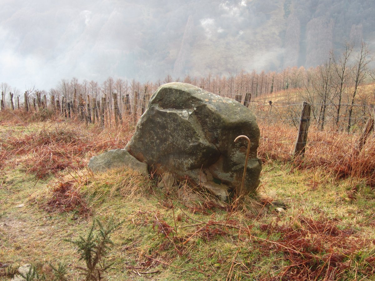 Menhir Belarregi  (Febrero 2016)