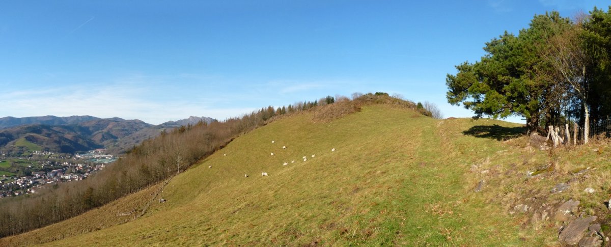 Altzatelarreko gainaldea