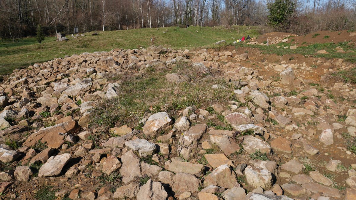 Berrozpin 4 trikuharria