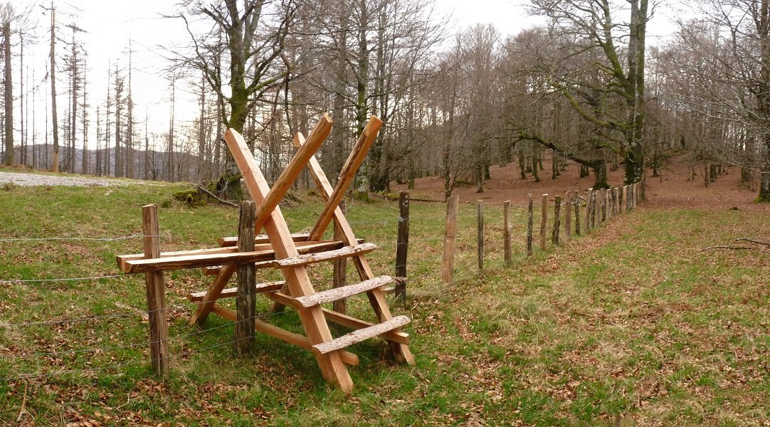 Ataka Zaguako bidean