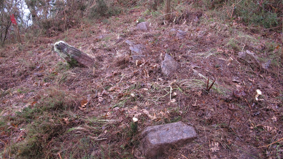 Txarrantxarri 2 hego trikuharria, Bera