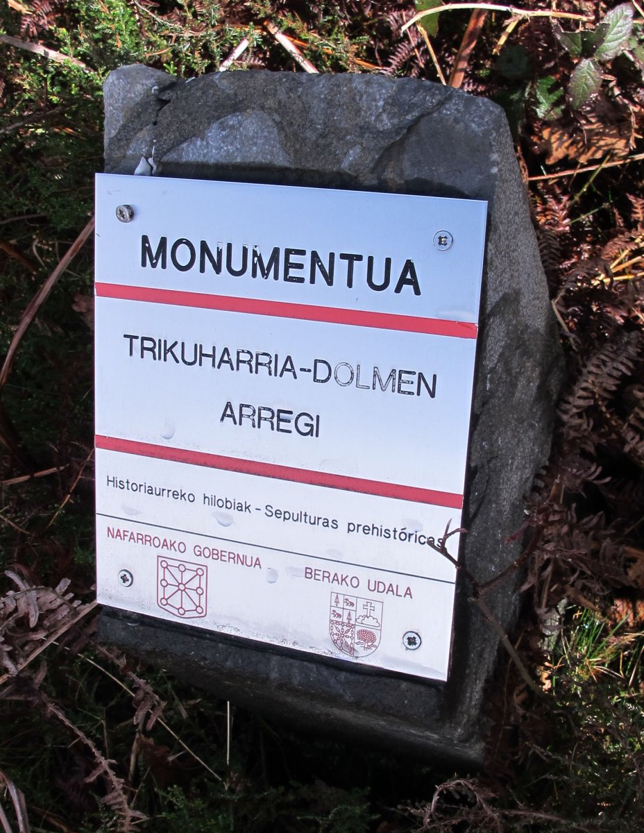 Arregi trikuharria, Bera