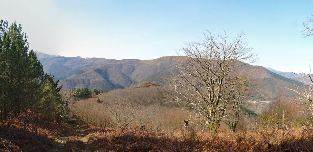 Sunbilla inguruko mendiak bidetik