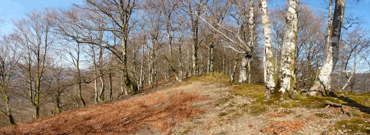 Iztola eta Iñarmeaka arteko lepo luzea