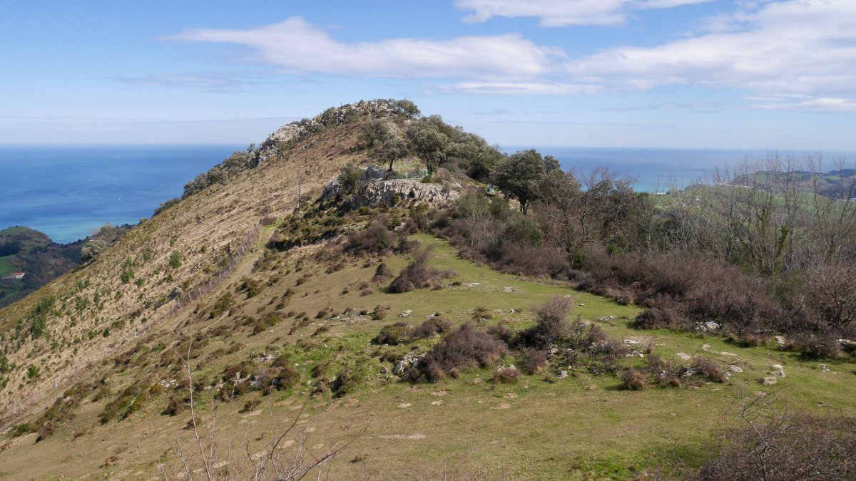 Txobillar muino harritsua, Elutzeta aldetik