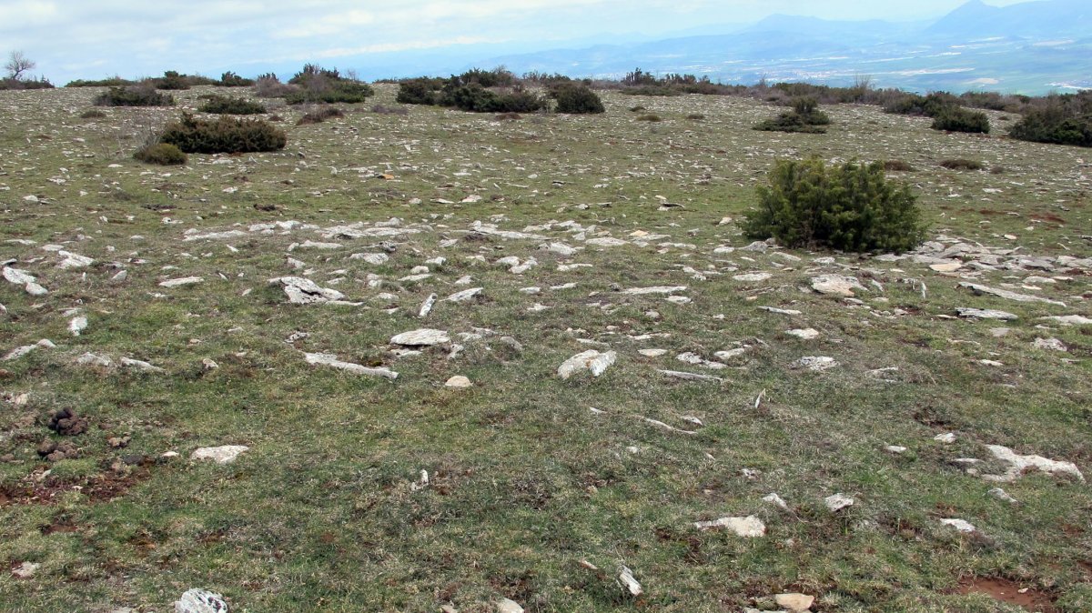 Mortxe 2 tumulua, Egilor-Ollo