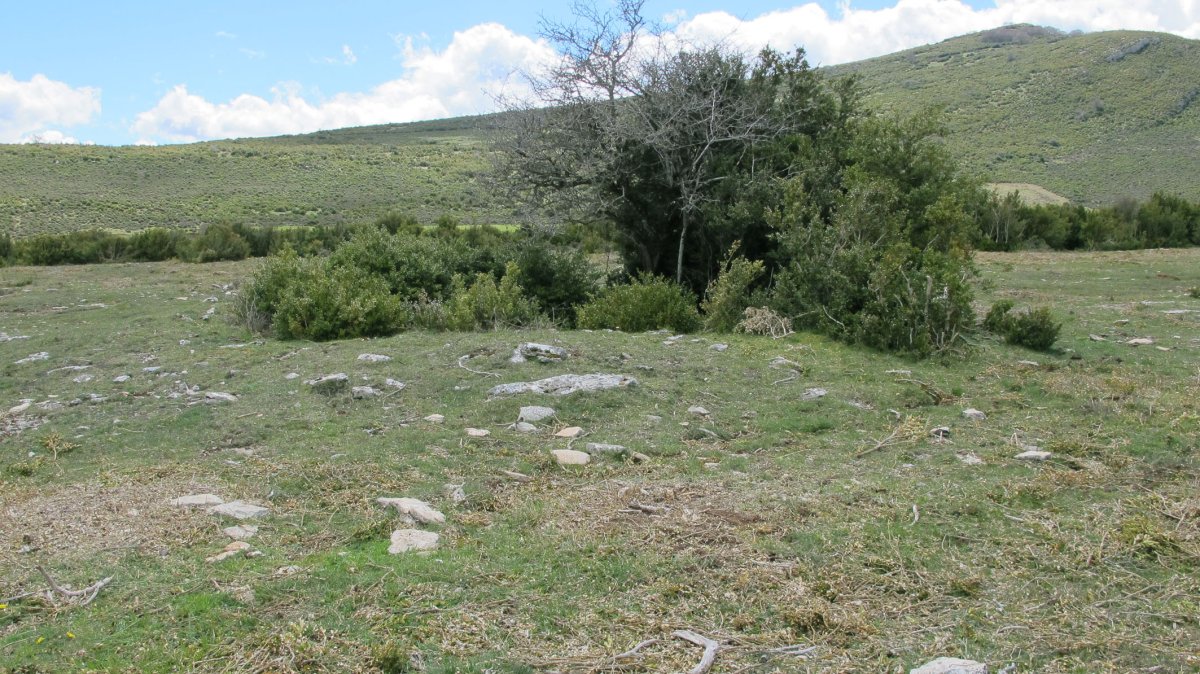 Arpide trikuharria, Etxauri