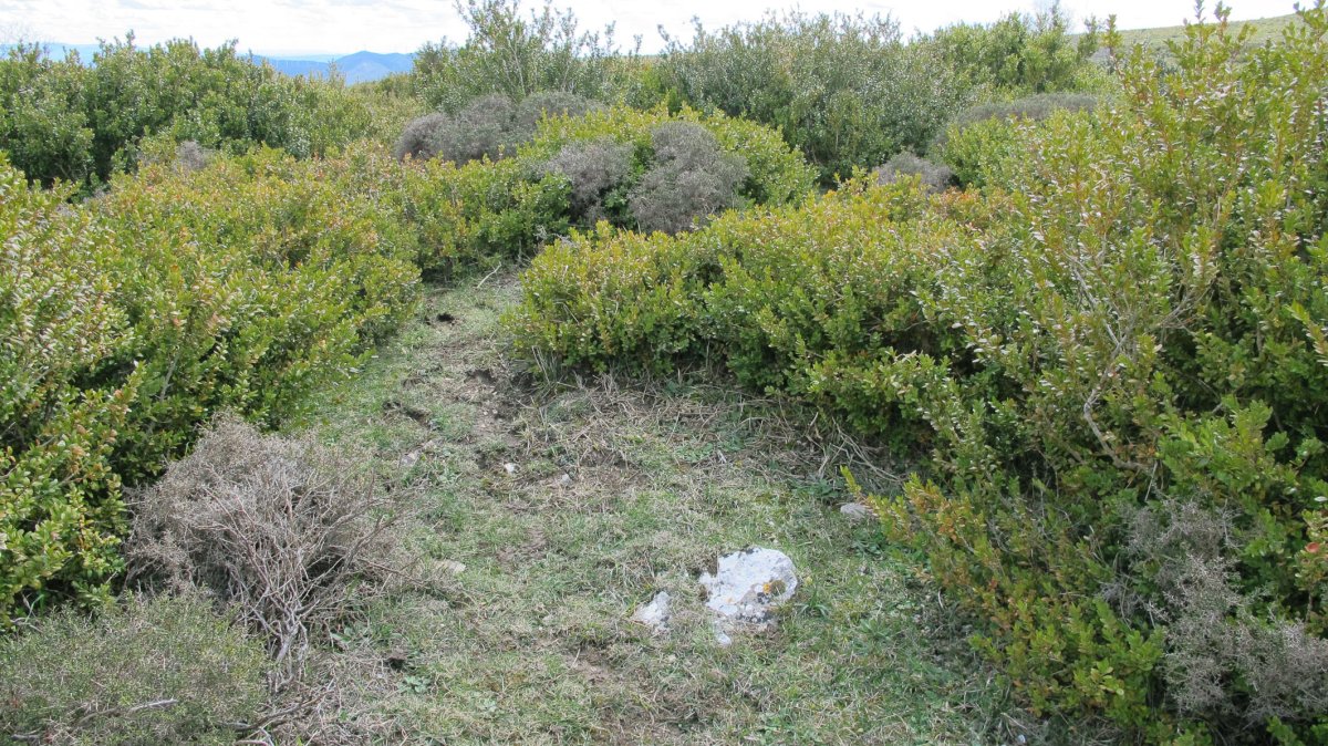 Majada Sarbil hego 2 tumulua, Etxauri