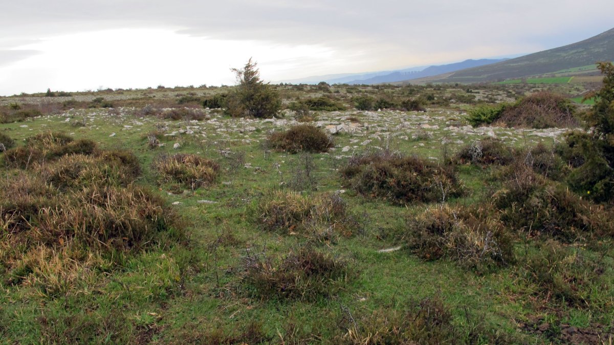 Balsa Illarradi 4 eraztun-tumulua, Azantza-Goñi