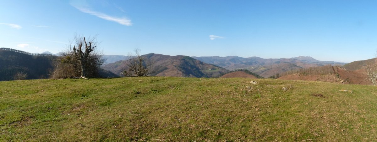 Zurgaietako gailurra