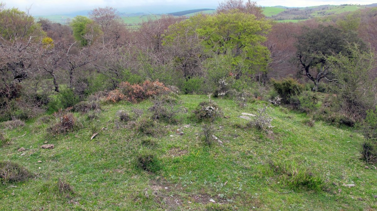 Berrekorta tumulua, Urkabustaiz