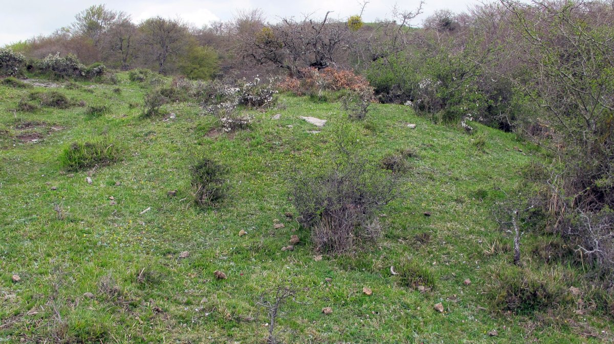 Berrekorta tumulua, Urkabustaiz