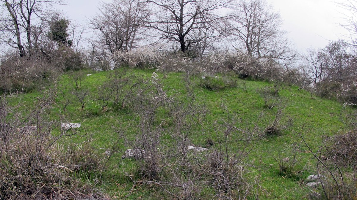 Larriluzea 2 tumulua, Urkabustaiz