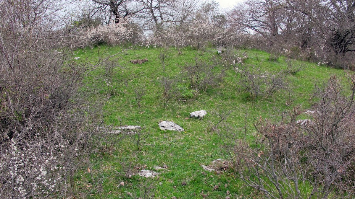 Larriluzea 2 tumulua, Urkabustaiz