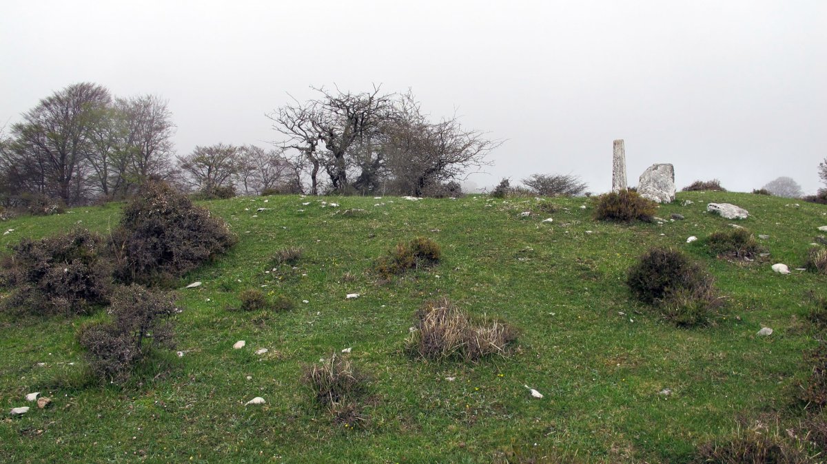 Larriluzea 1 trikuharria, Urkabustaiz