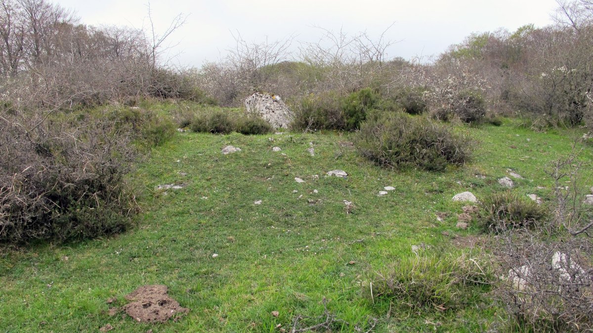 Lejazar Septentrional trikuharria, Urkabustaiz