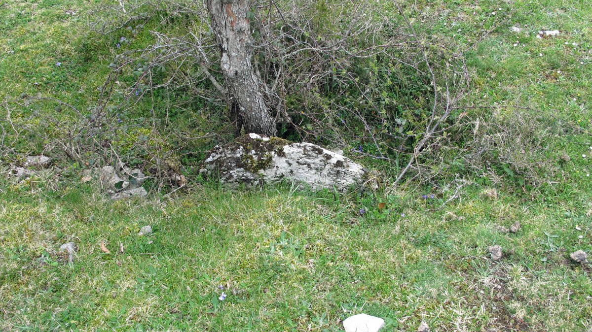 Lejazar Meridional trikuharria, Urkabustaiz