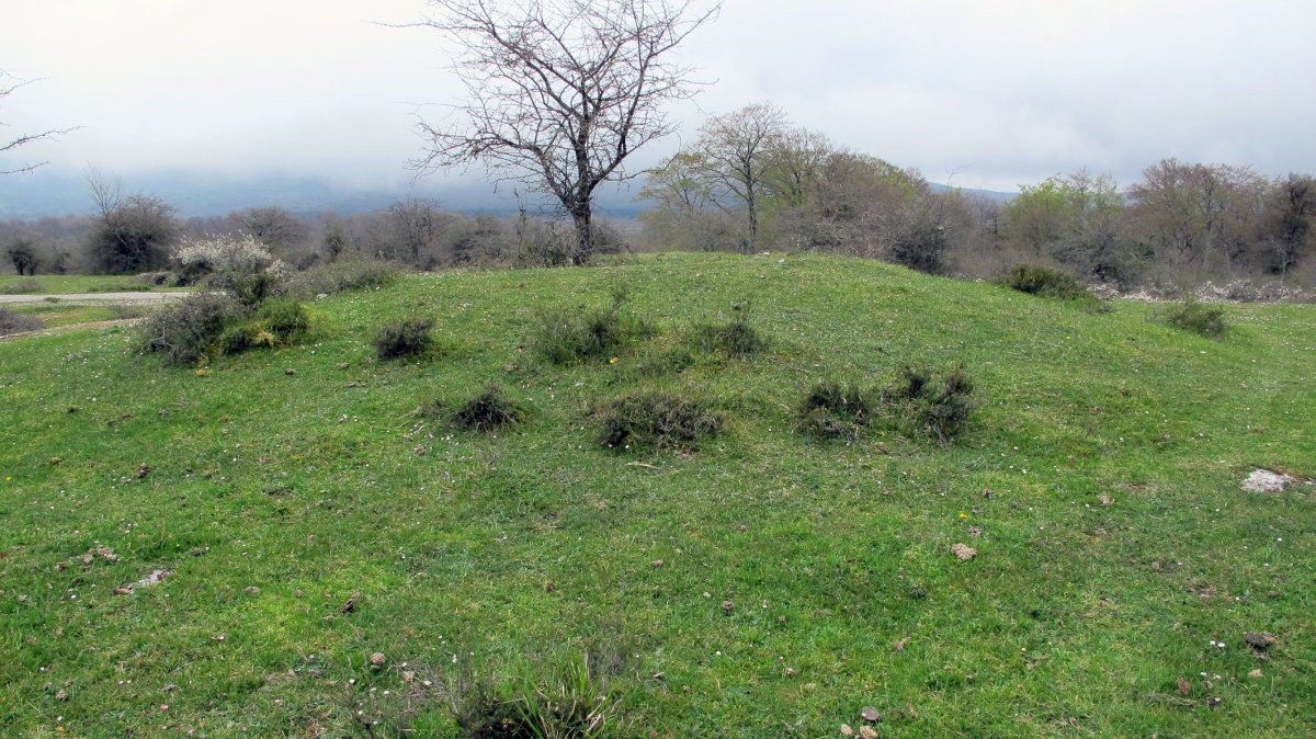 Lejazar Meridional trikuharria, Urkabustaiz