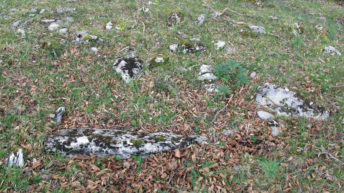 Las Esperas trikuharria, Urkabustaiz