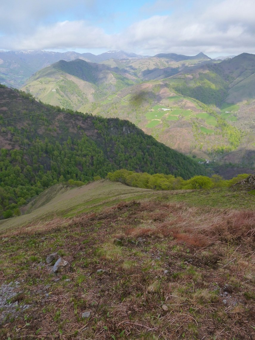 Malda gogorra, berriz...