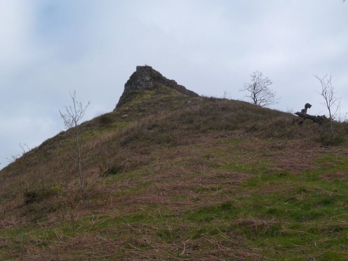 Lehen punta, baso aldean