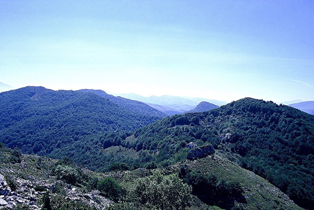 Ihatea, Zünbia, tontorretik