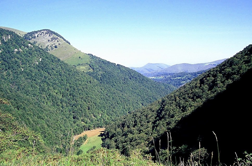 Ur Beltza, Etxekortea joan