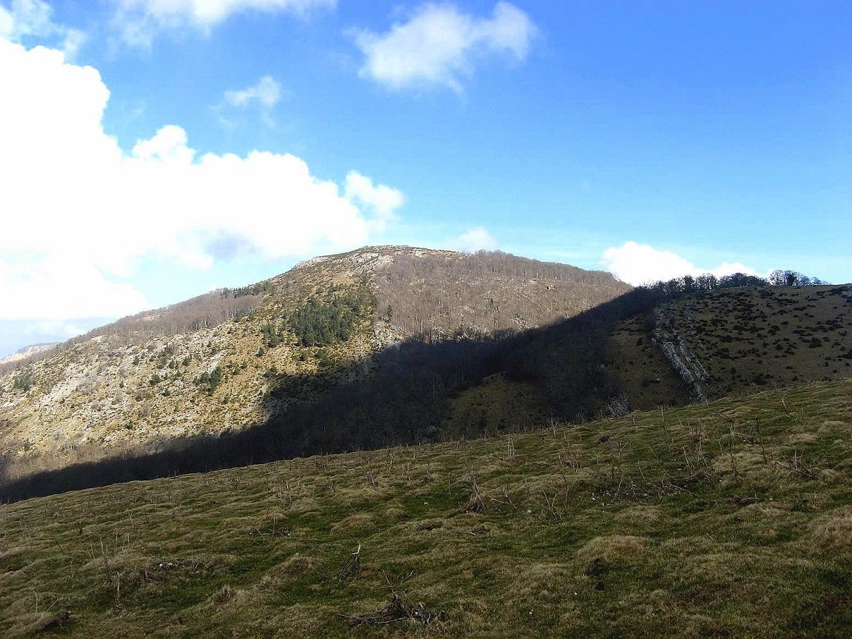 Ihatea, Bohokorteatik