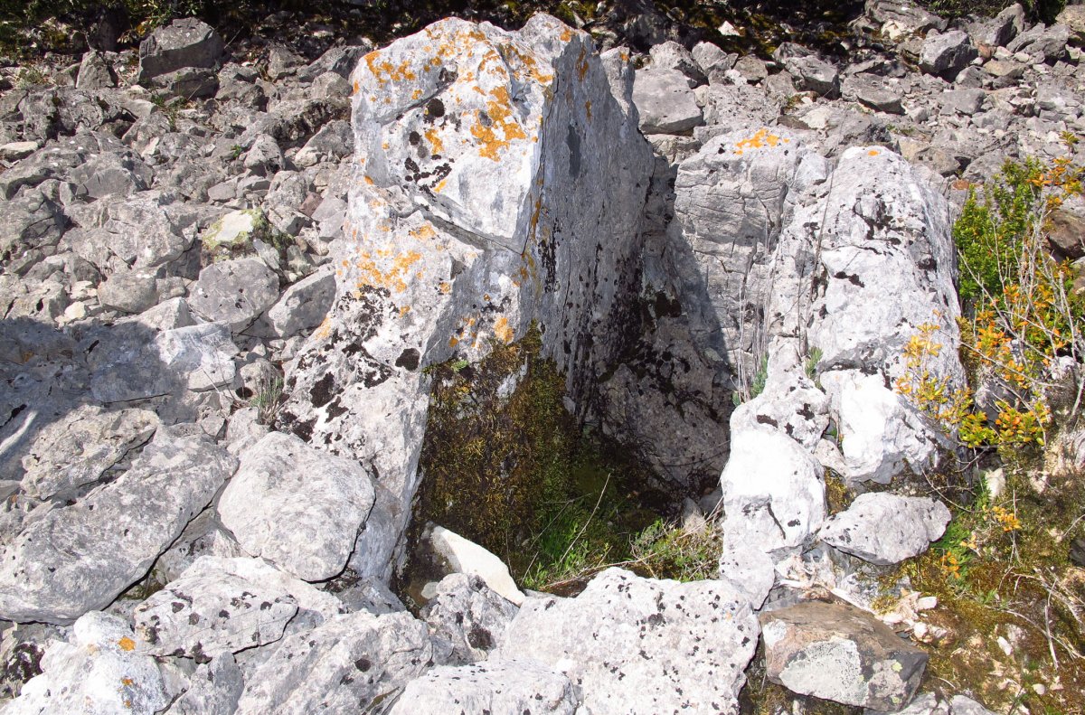 Boluntza 1 ipar trikuharria, Napal-Erromantzatua